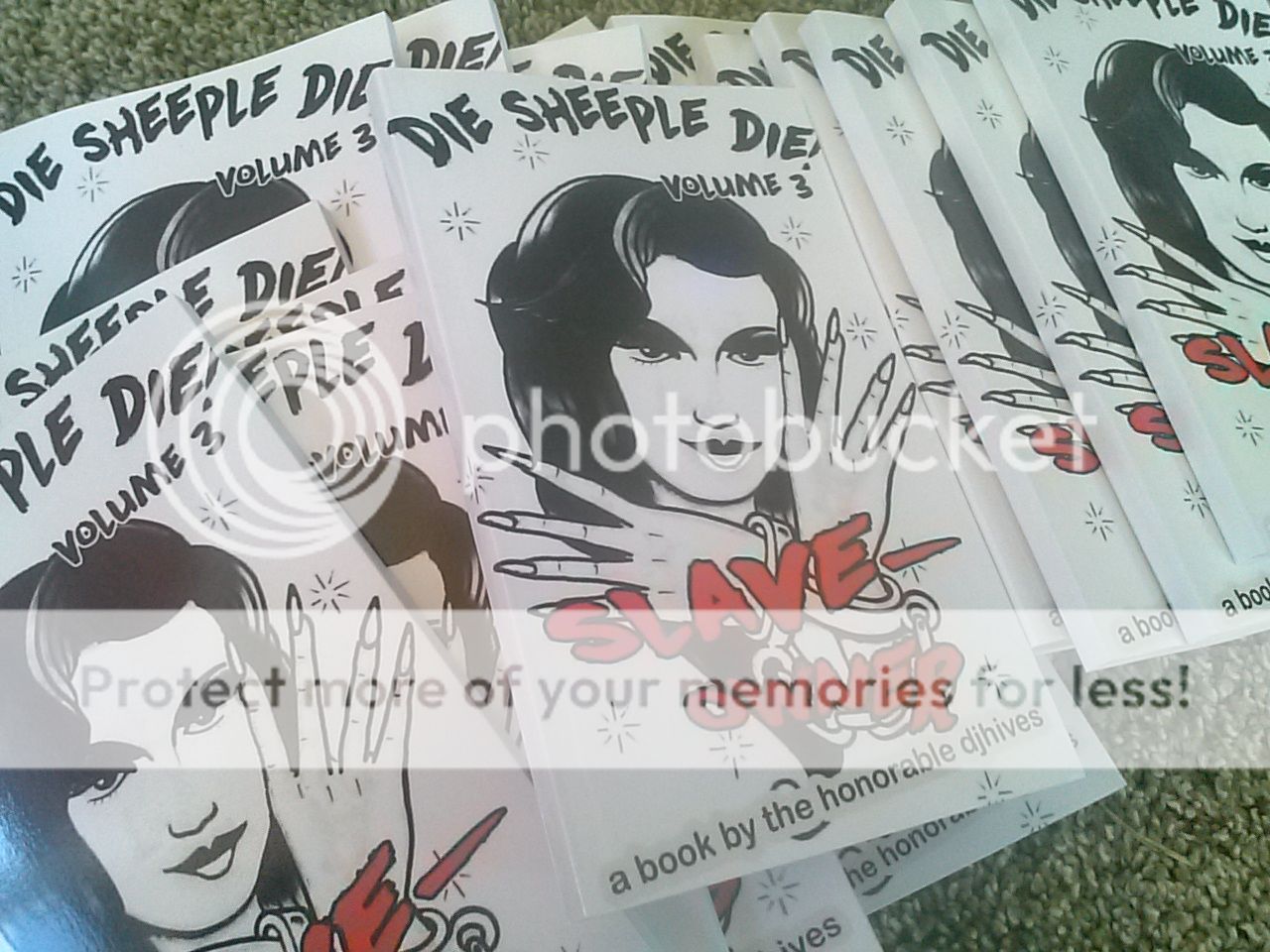 http://i1047.photobucket.com/albums/b477/djhives2/CAM02063.jpg
