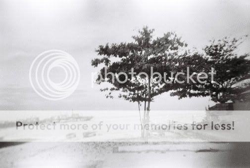 http://i1047.photobucket.com/albums/b477/kochii1/28098_123604564329055_100000385352761_205442_2769446_n.jpg