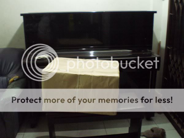 http://i1047.photobucket.com/albums/b477/kochii1/47588_163796220331002_100001018742446_278406_4738804_n.jpg